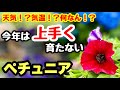 ◆謎！【今年は育たない】原因は何！？