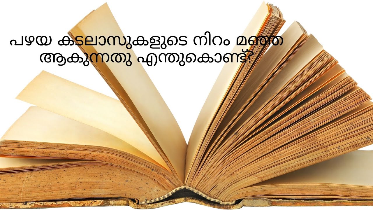 Book side. Страница книги фон. Открытая книжка вид сбоку. Книга картинка без фона. Книга вид сбоку.