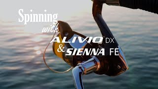 Spinning with Shimano Alivio DX & Sienna FE
