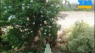 SLOWROCK TERBARU BERAT SEBELAH RAHMI MAULANA - SLOWROCK TERBARU 2024