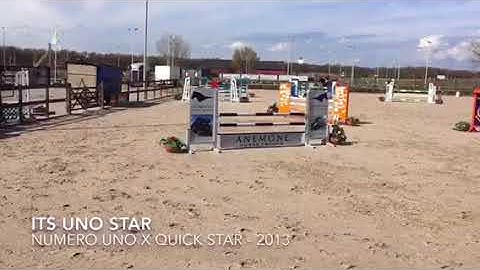 Numero uno x Quick star - 2013