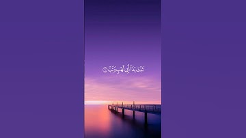 سورة المسد - هزاع البلوشي