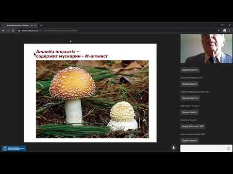 Холинергические средства