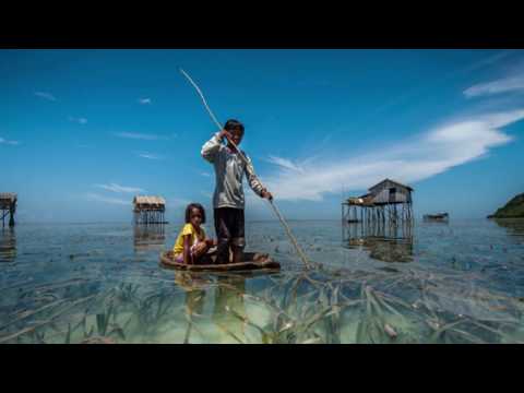 تصویری: ماهی‌ها کجا زندگی می‌کنند؟