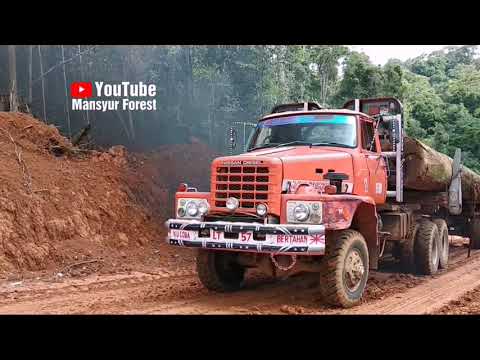 Pengobat Rindu Untuk Anda Para Pencinta Logging Truck Nissan TZ 520
