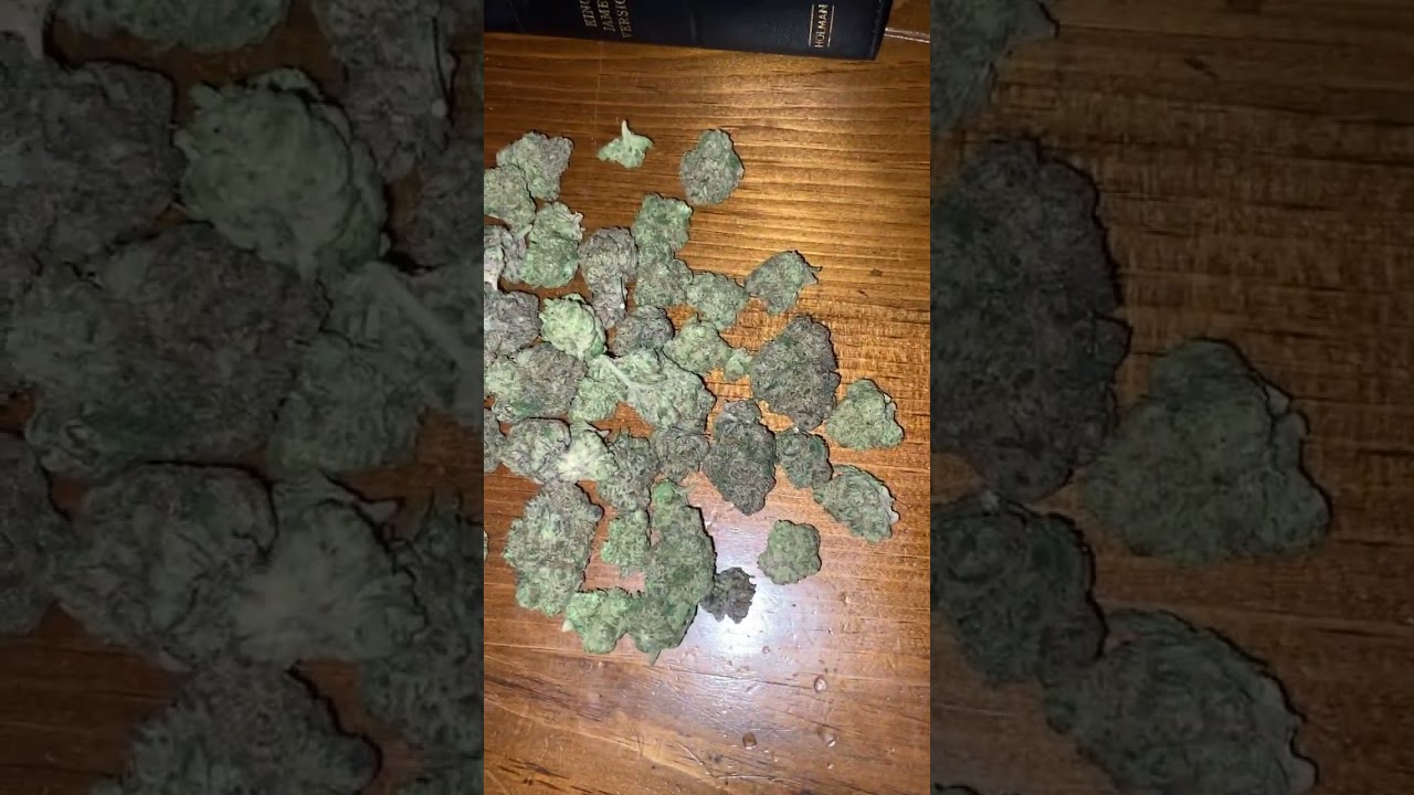 LIT Farms - Space Runtz 🛸