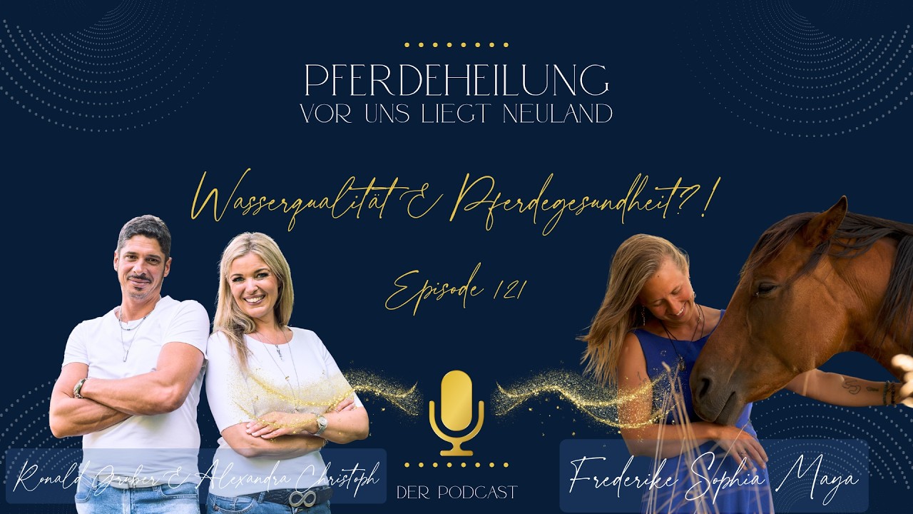 Pferdeheilung - Vor uns liegt Neuland