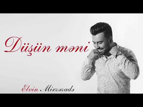 Elvin Mirzezade - Dusun meni