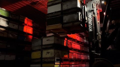 700 Hives Out and Fed Today