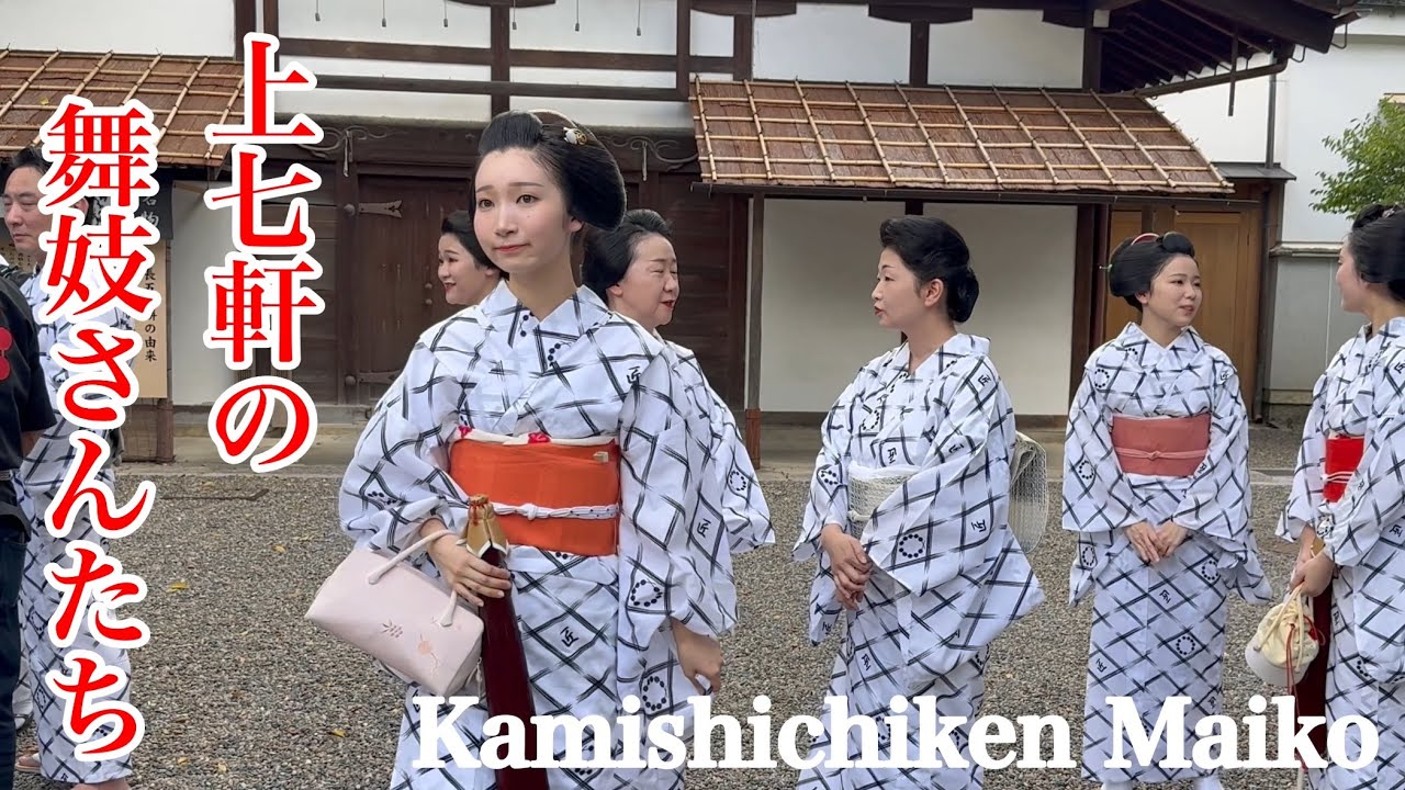 週末限定値下げ　舞妓　日本髪　髷　かもじ　赭熊　しゃぐま 宮川町しげ森 舞妓ふく弓さん