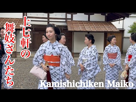 希少　日本画　日本舞踊　都踊り　芸者　舞妓　昭和レトロ 086a4b7b01acbebc3c379849bbdacd