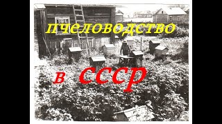 Фильмы СССР о Пчеловодстве  Пчеловодство для начинающих
