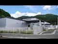 Mass production of mackerel Fish Can in Japan— and How to Make It"