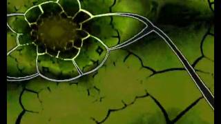 Fuego - Fl303 Olfa1 Remix Psytrance