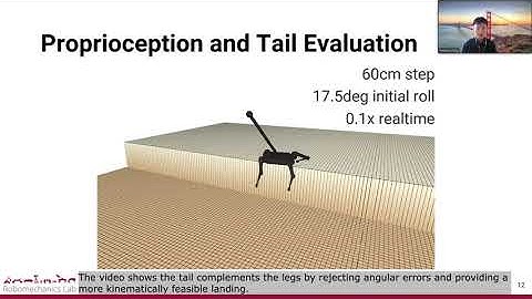 Proprioception and Tail Control Enable Extreme Terrain Traversal by Quadruped Robots - Presentation