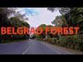 Driving to Istanbul Belgrad Forest-Istanbul Travel Guide