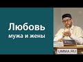 Семейные отношения