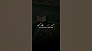 قران كريم بصوت جميل اسلام صبحي