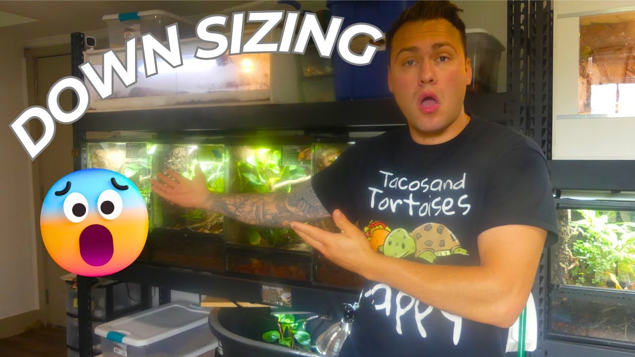 I'm Downsizing My Collection !!!! - YouTube