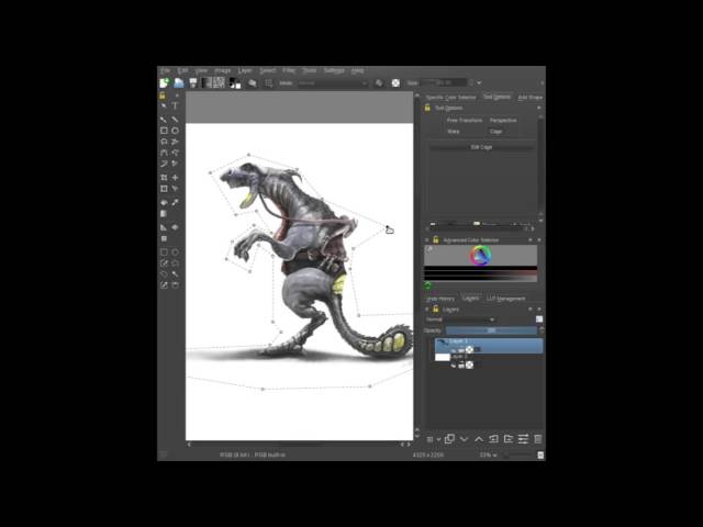 Krita Cage Tool Demo