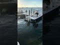 Dock party!