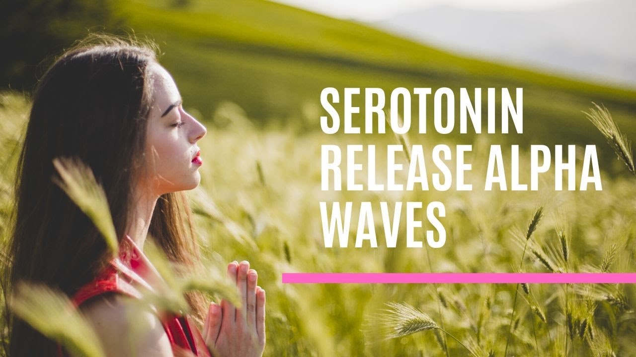 Serotonin Neurotransmitter | Serotonin Release Alpha Waves | 432hz Happiness Frequency Music 🎧