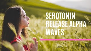 Serotonin Neurotransmitter  Serotonin Release Alpha Waves  432hz Happiness Frequency  