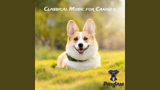The Tail-Wagging Waltz