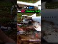 ValuJet flight 592... #airplane #aviation #aviationaccidents