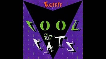 Cool For Cats - Squeeze with lyrics