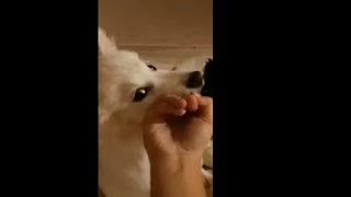 Not The Right Finger