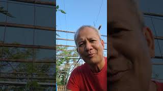 Hitek sa bungs #subscribers #garden #farming