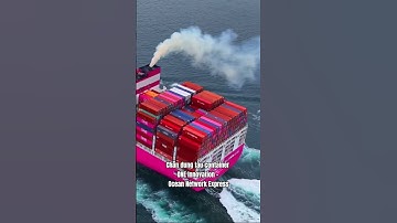 Chân Dung Tàu Container ONE INNOVATION #xuatnhapkhau #logistics #container