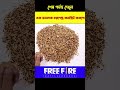 ছেলেটি কি পারবে মেয়েটির দেওয়া ভয়ানক চ্যালেঞ্জ কমপ্লিট করতে 😱 #shorts