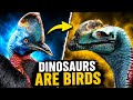 Birds Are Dinosaurs. (Confirmed)