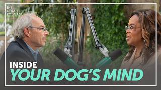 Your Dog Understands More Than You Think