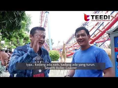 Video: Apakah hidup seperti roller coaster?