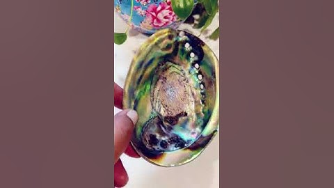 Abalone shell for smudging and crystal charging @purearthone