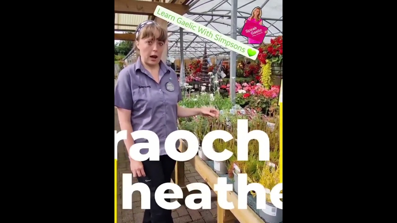Gaelic for gardeners - Heather, Froach