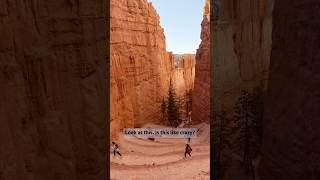 Bryce Canyon’s Navajo &amp; Queen’s Garden Loop 🌄 | Best Hikes in Utah! #brycecanyon #NavajoLoop