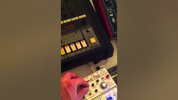 TB-303 devilfish talking test