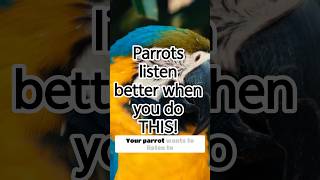 Parrots listen better when you do THIS instead!