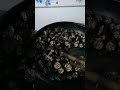 banana seeds