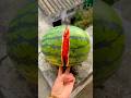Will a watermelon explode if it rolls down from a tall building? 🍉💥 #watermelon