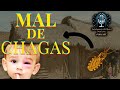 ¿Sabes qué es el mal de Chagas? Lo que debes saber sobre esta enfermedad olvidada