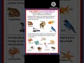 VERTEBRATE AND INVERTEBRATE ANIMALS #learning #science