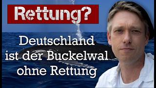 Buckelwal gerettet! Deutschland geht unter!