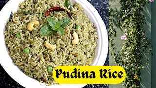 Pudina Rice | South Indian Breakfast & LunchBox Recipe | Lunch Box Series-2 |Cooking By Shilpashree|