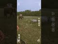 hathi mera sathi😄🐘🥰 dudhwala tiger reserve 🐅#foryou #viral #shorts #foryoupage #masti