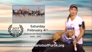 2017 Chariots of Fur Beach Run and Festival